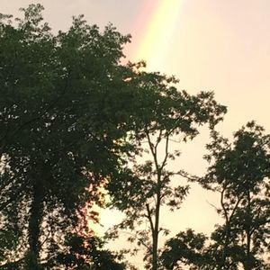 Meet your Posher, Pamela